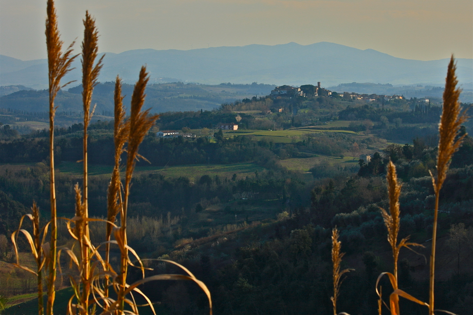 Canne e colline.JPG